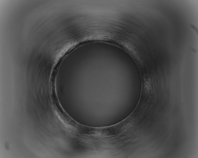 X0000101110678200807031740