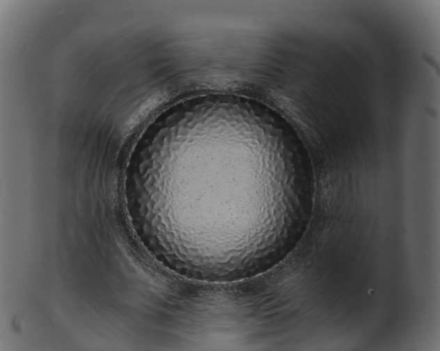 X0000101110679200807031740