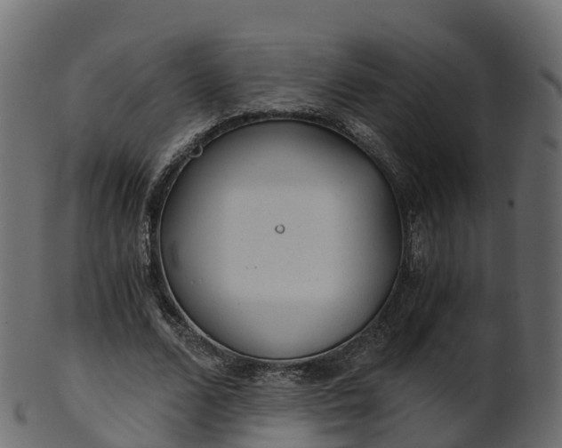 X0000101110680200807031740