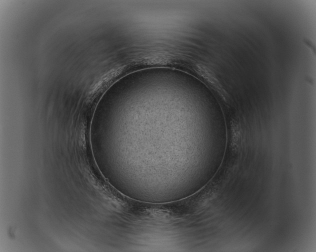 X0000101110681200807031740