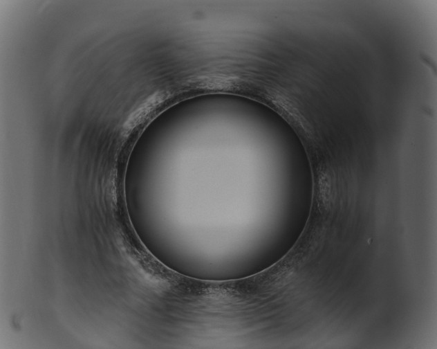 X0000101110682200807031740