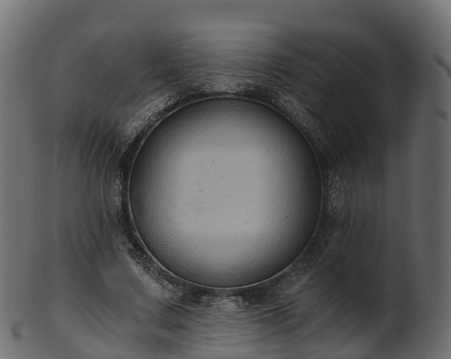 X0000101110683200807031740