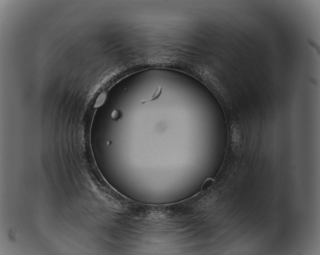 X0000101110684200807031740