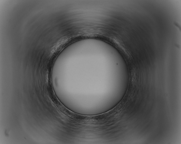 X0000101110685200807031740