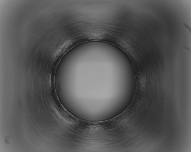 X0000101110686200807031740