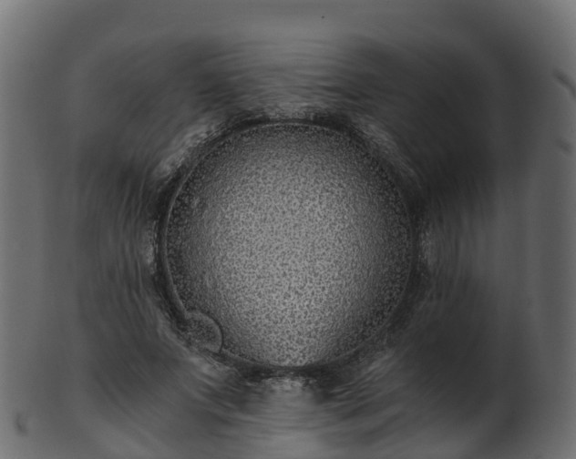 X0000101110687200807031740