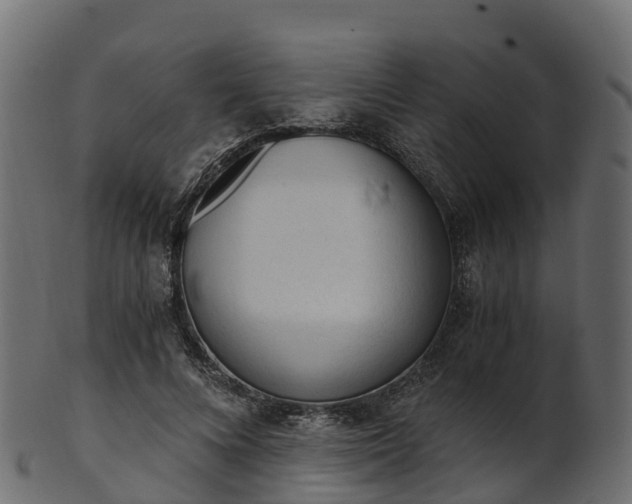 X0000101110688200807031740