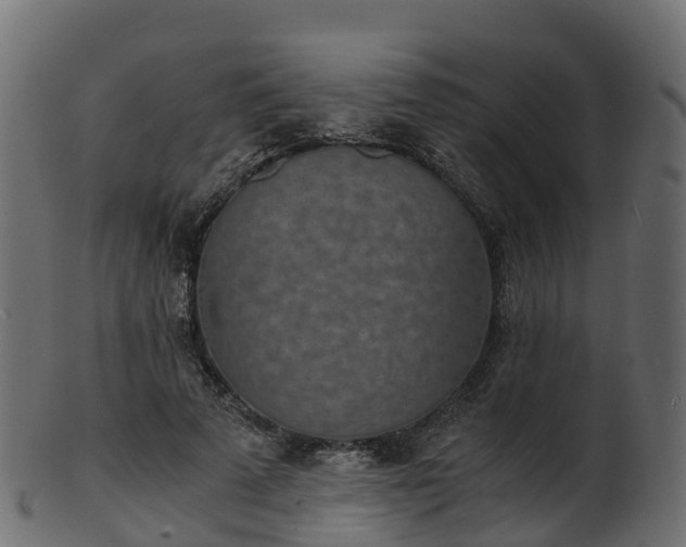 X0000101110689200807031740