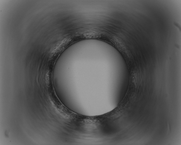 X0000101110690200807031740