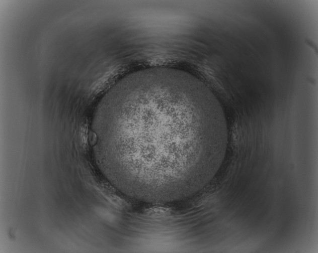 X0000101110691200807031740