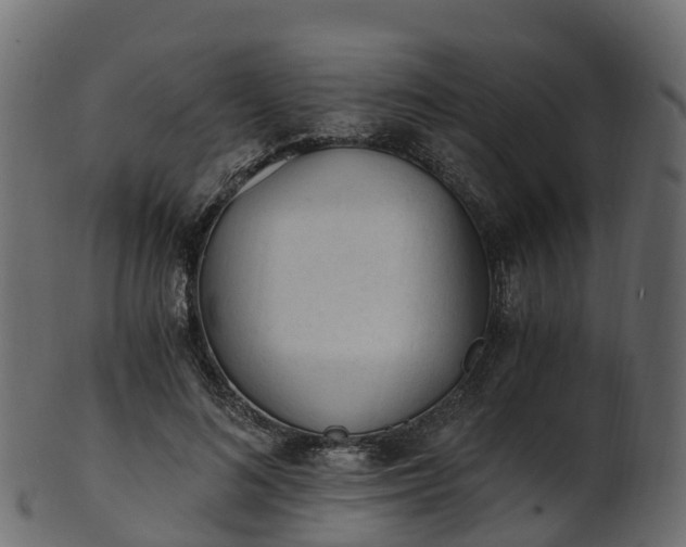 X0000101110692200807031740