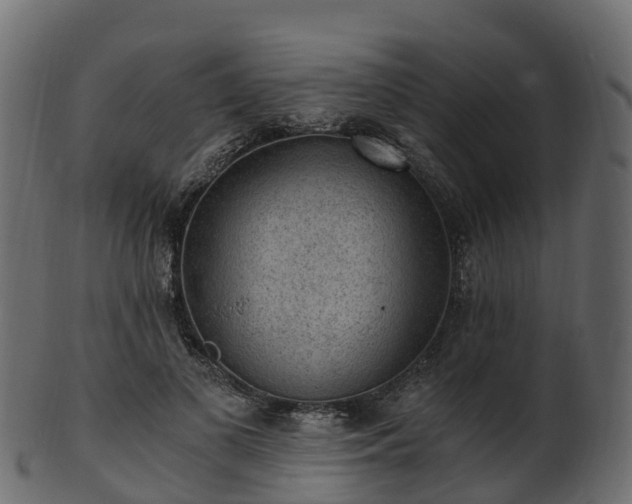 X0000101110693200807031740