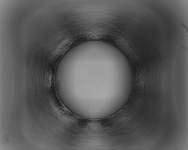 X0000101110694200807031740