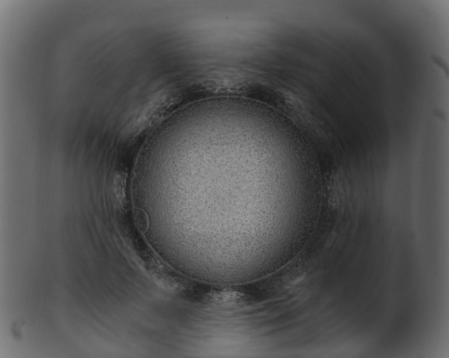 X0000101110695200807031740