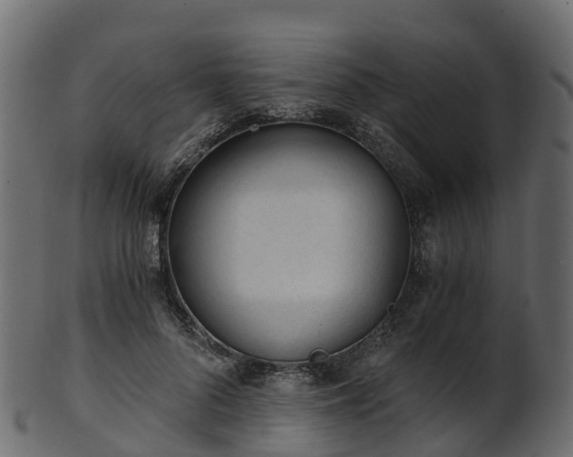 X0000101110696200807031740