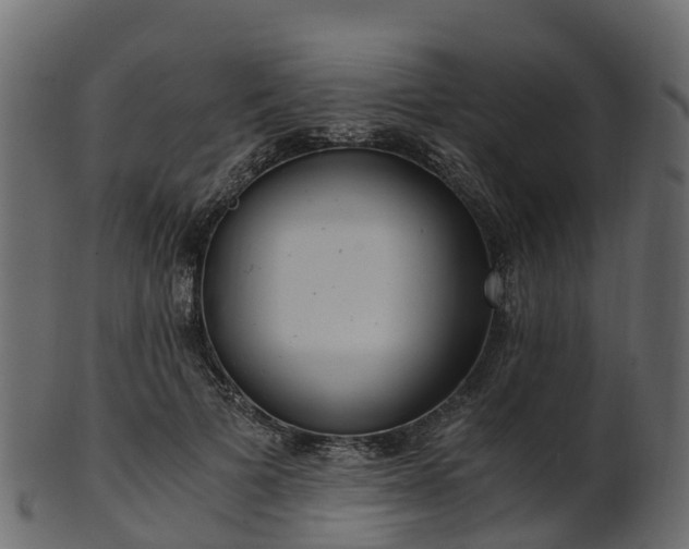 X0000101110697200807031740