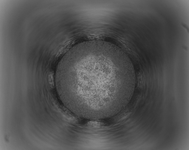 X0000101110699200807031740