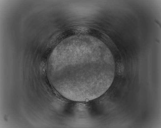 X0000101110701200807031740