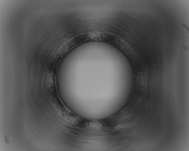 X0000101110702200807031740