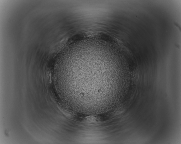 X0000101110703200807031740