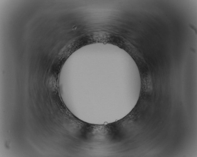 X0000101110705200807031740