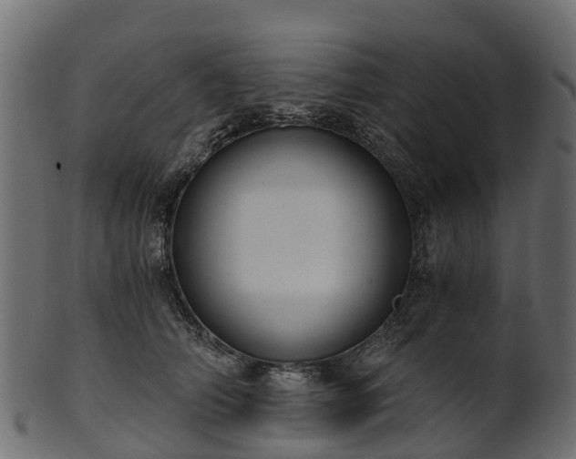X0000101110706200807031740