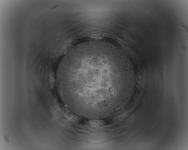 X0000101110707200807031740
