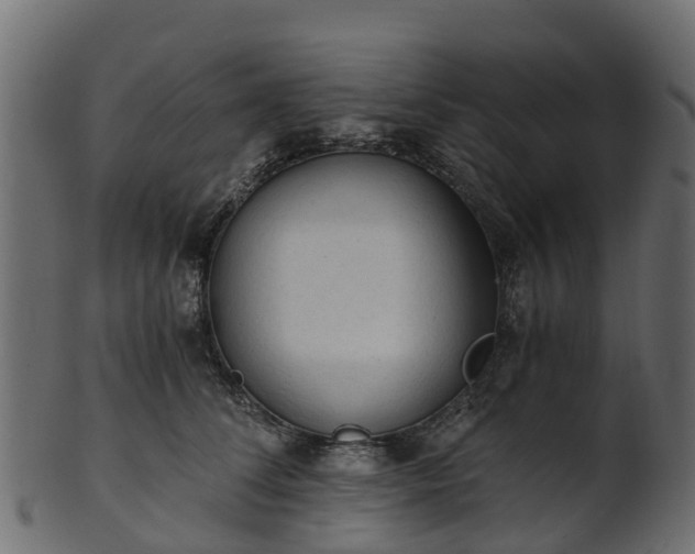 X0000101110708200807031740