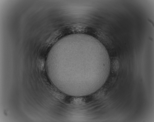 X0000101110709200807031740