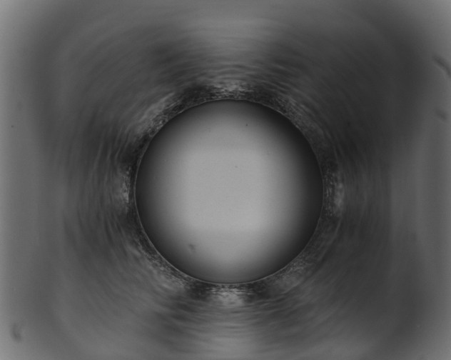 X0000101110710200807031740