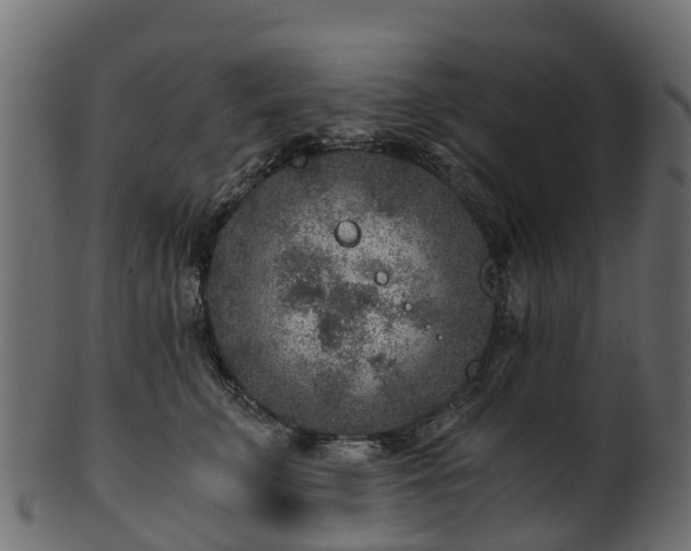 X0000101110711200807031740