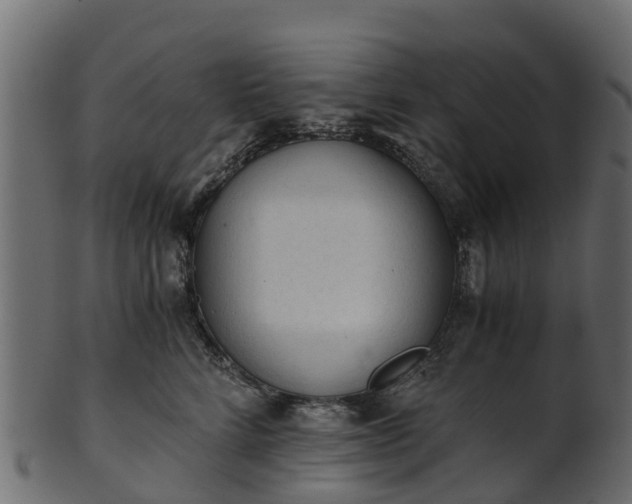 X0000101110712200807031740