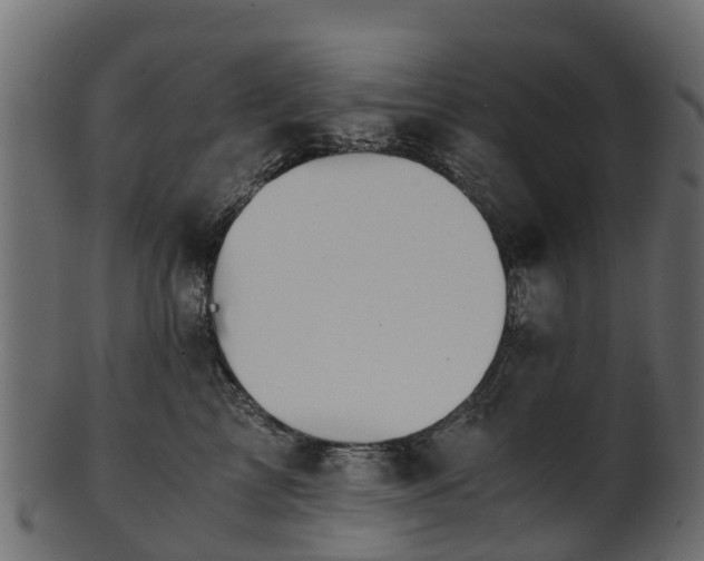 X0000101110713200807031740