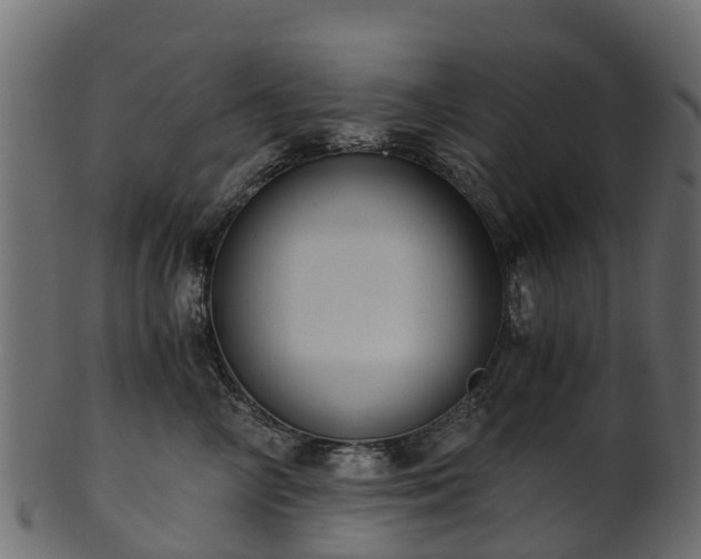 X0000101110714200807031740
