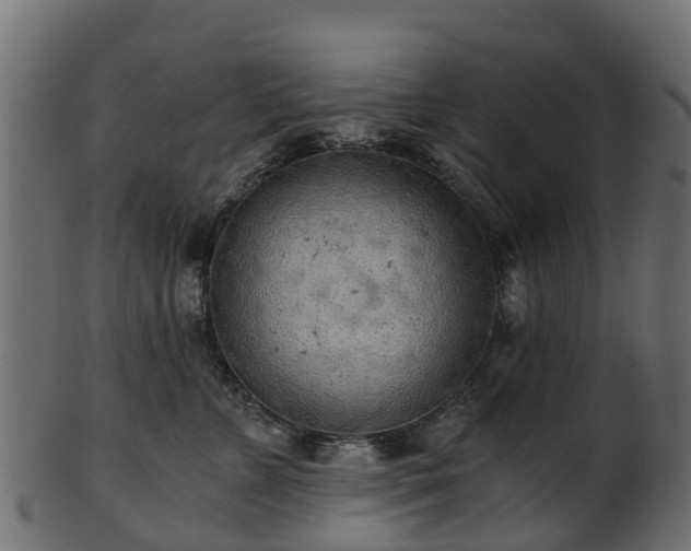 X0000101110715200807031740