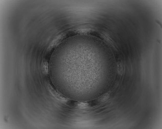 X0000101110718200807031739