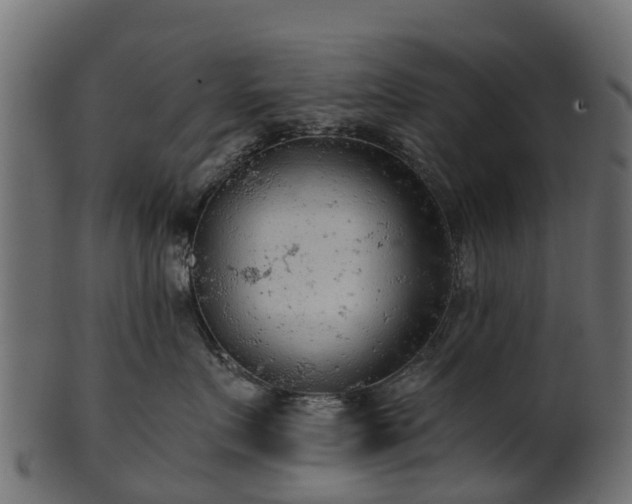 X0000101110719200807031739