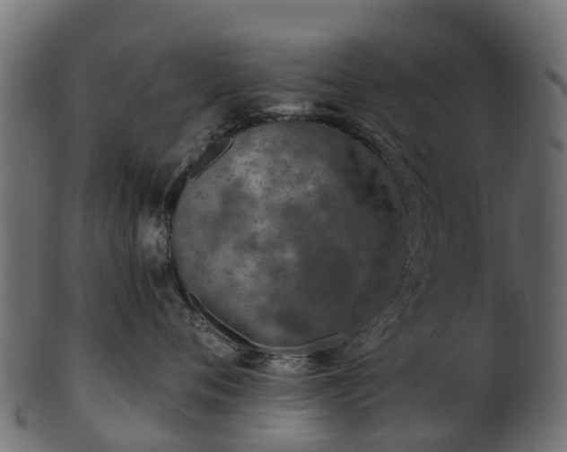 X0000101110720200807031739