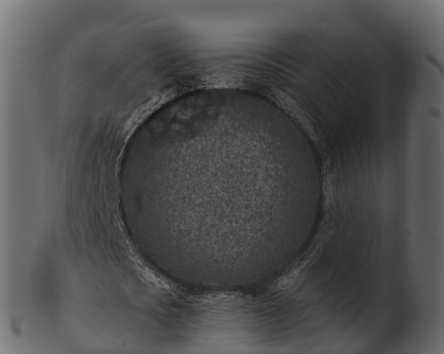 X0000101110721200807031739