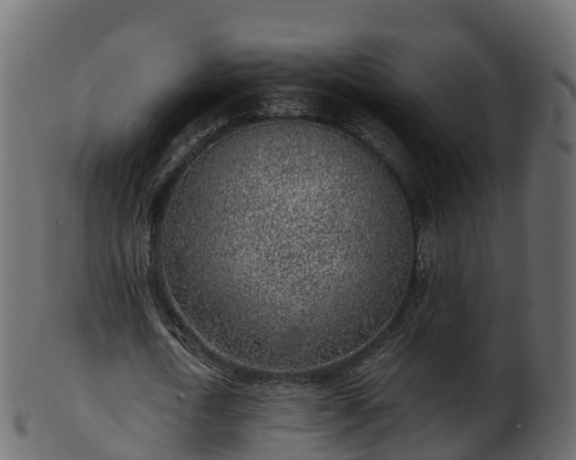 X0000101110722200807031739