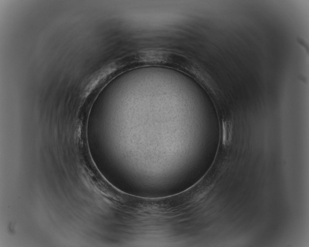 X0000101110723200807031739