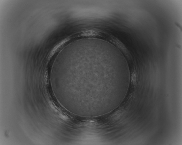 X0000101110724200807031739