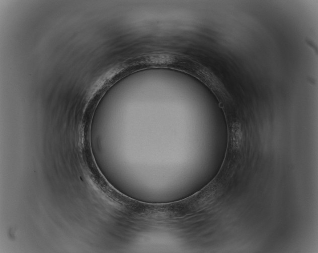 X0000101110726200807031739