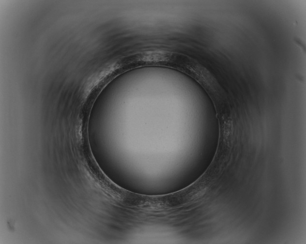 X0000101110727200807031739