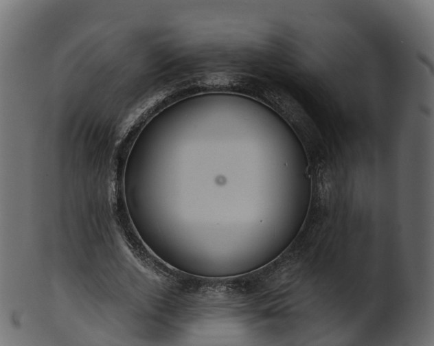 X0000101110728200807031739