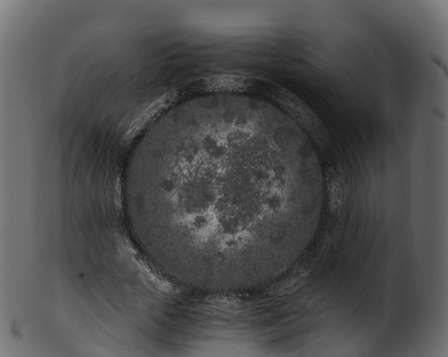 X0000101110729200807031739