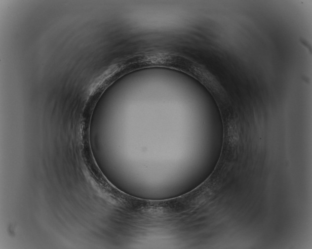 X0000101110730200807031739