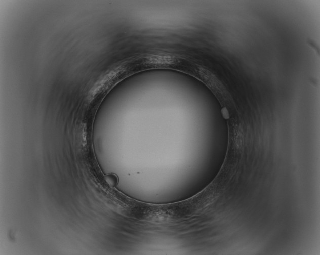 X0000101110731200807031739