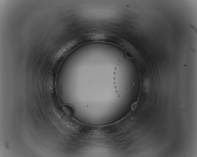 X0000101110732200807031739