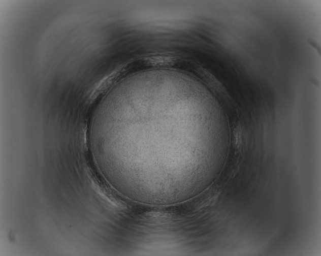 X0000101110733200807031739